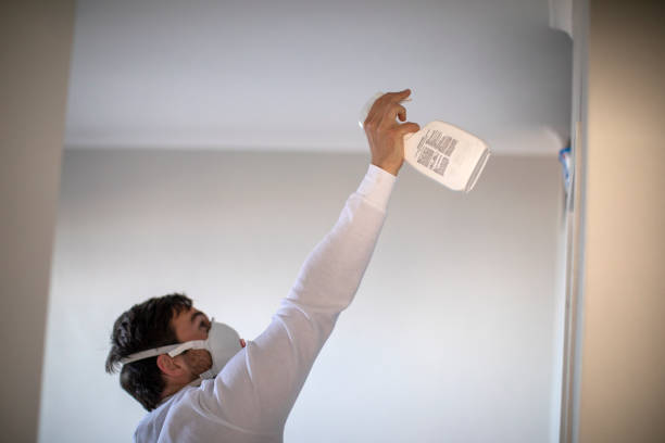 Best White Mold Remediation in Alton, IL